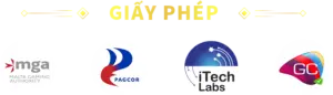 Giấy phép VN88